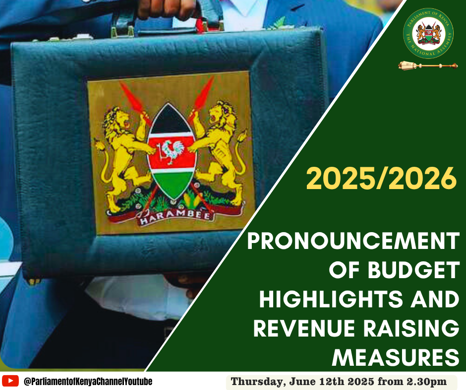 2025 BUDGET