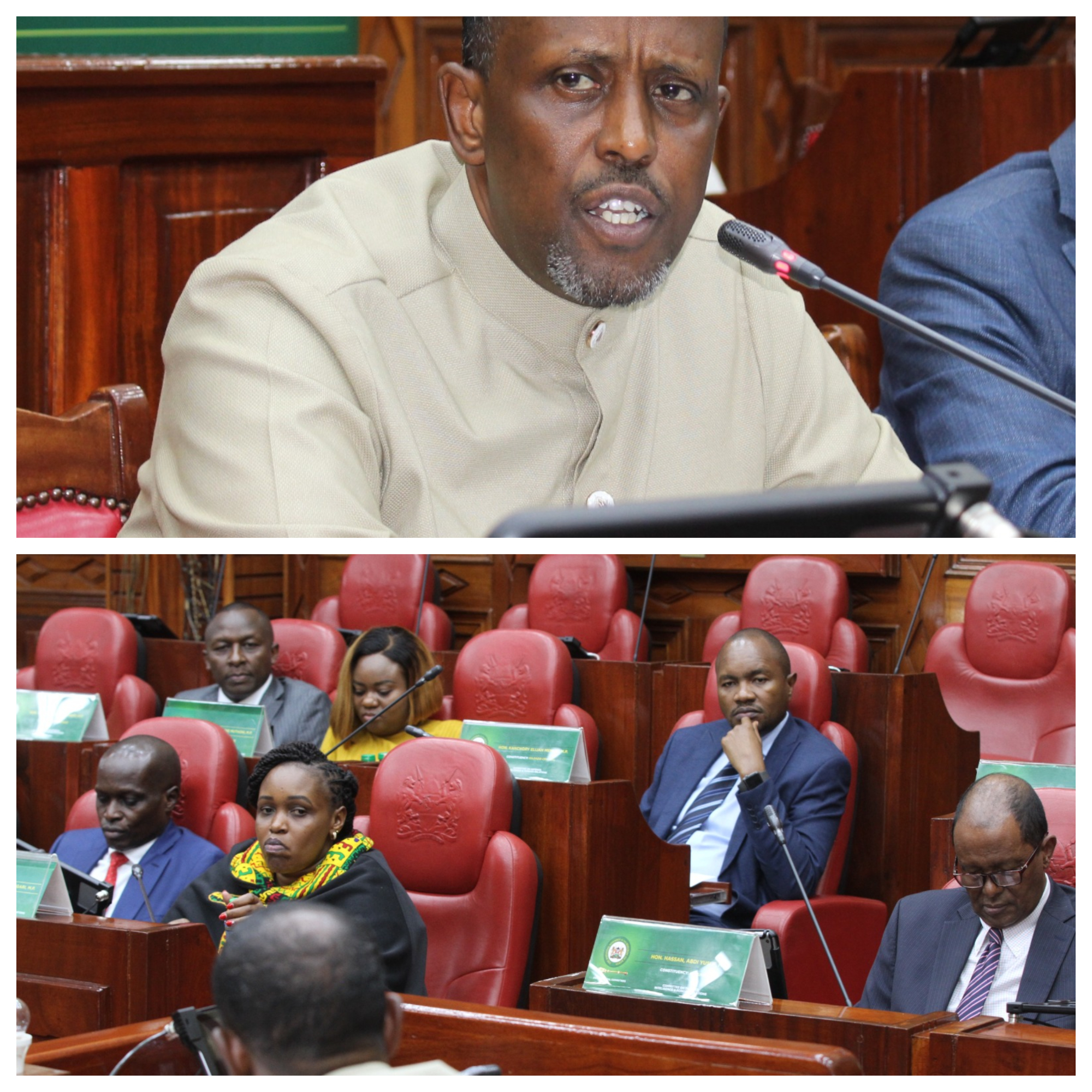 DEFENCE COMMITTEE SUMMONS FOREIGN AND DIASPORA AFFAIRS CS
