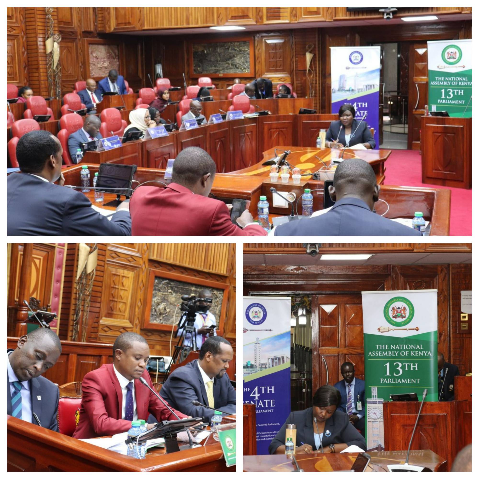JOINT-PARLIAMENTARY COMMITTEE CONDUCTS VETTING & APPROVAL HEARINGS FOR DEPUTY CBK GOVERNOR NOMINEE 