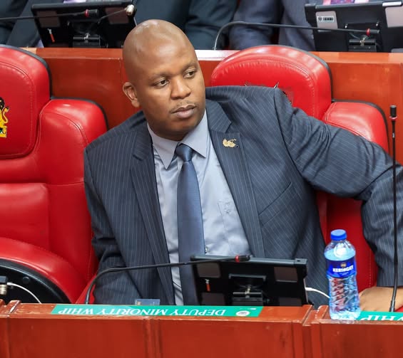 HON. MARK MWENJE