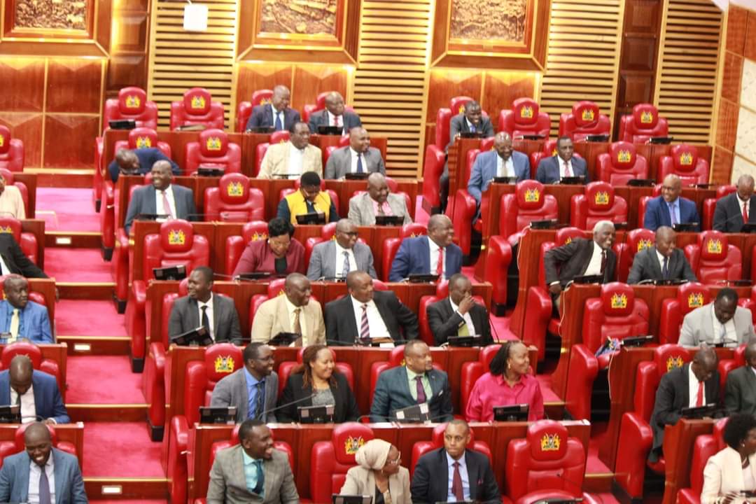 National Assembly Sitting 