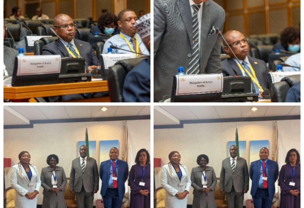 AFRICAN STATES MUST COMMIT MORE RESOURCES FOR AFRICAN CONTINENTAL FREE TRADE AREA(AFCFTA) - SPEAKER KINGI  