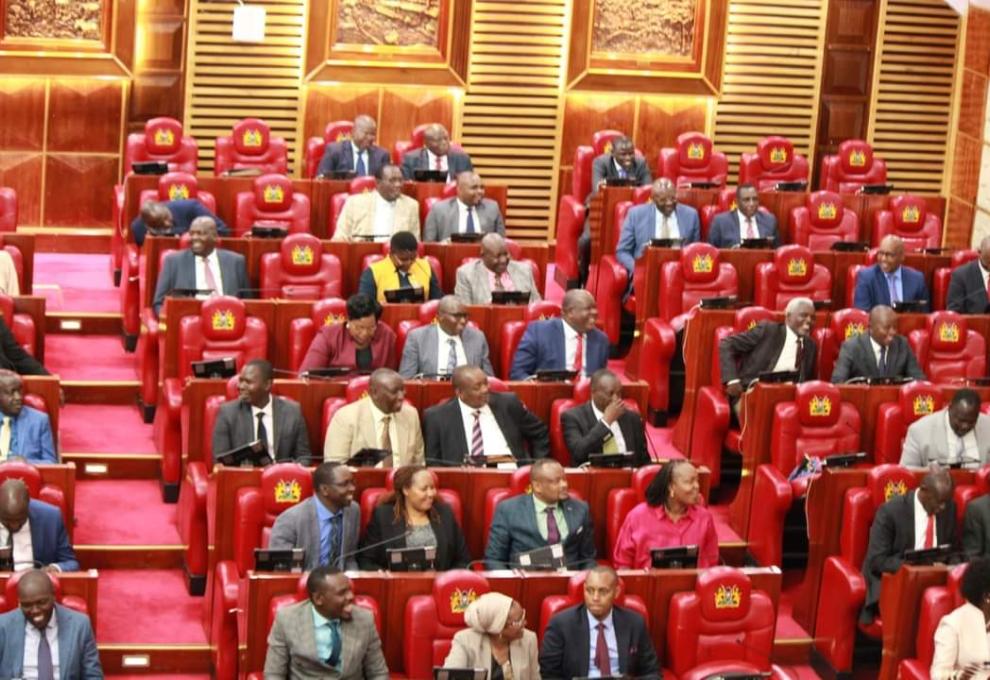 National Assembly Sitting 