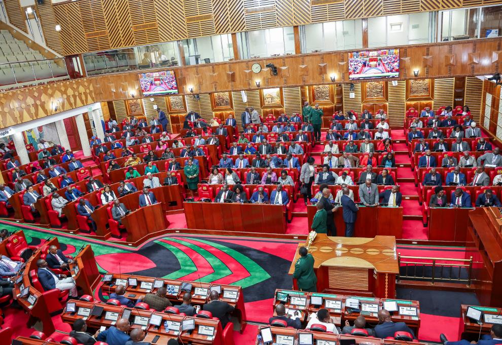 National Assembly Sitting 