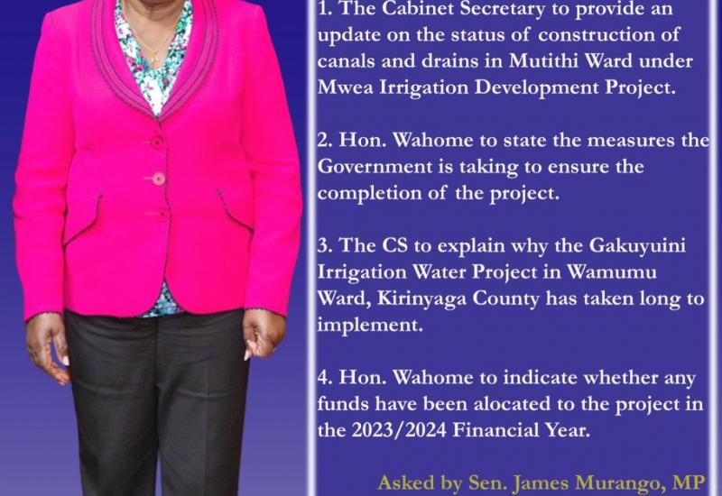 QUESTION TIME: Hon. Alice Wahome - CS, Ministry of Water, Sanitation and Irrigation