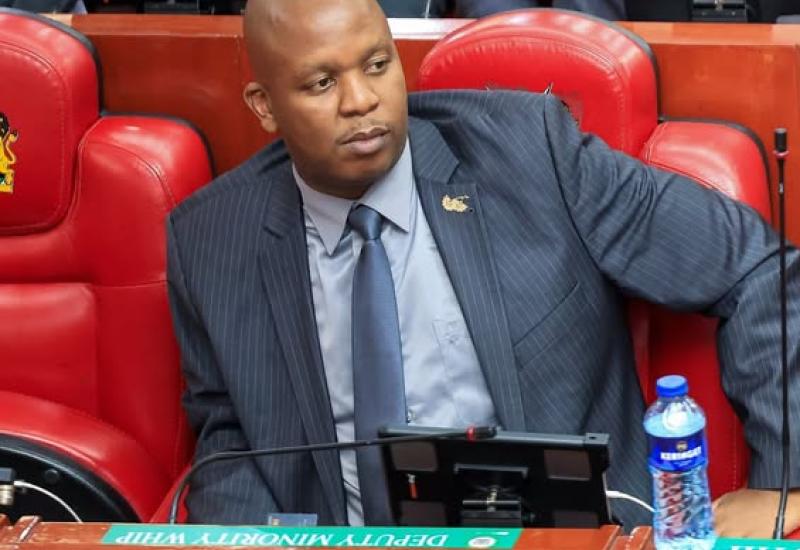 HON. MARK MWENJE