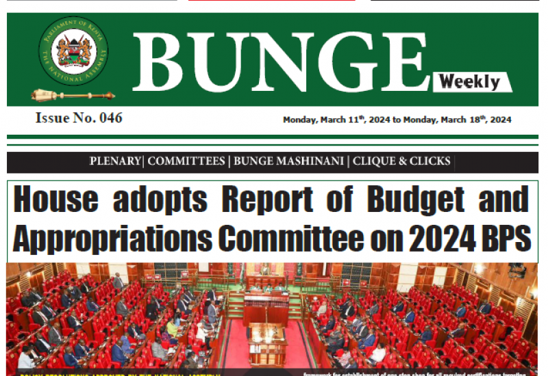 Bunge Weekly Issue 046