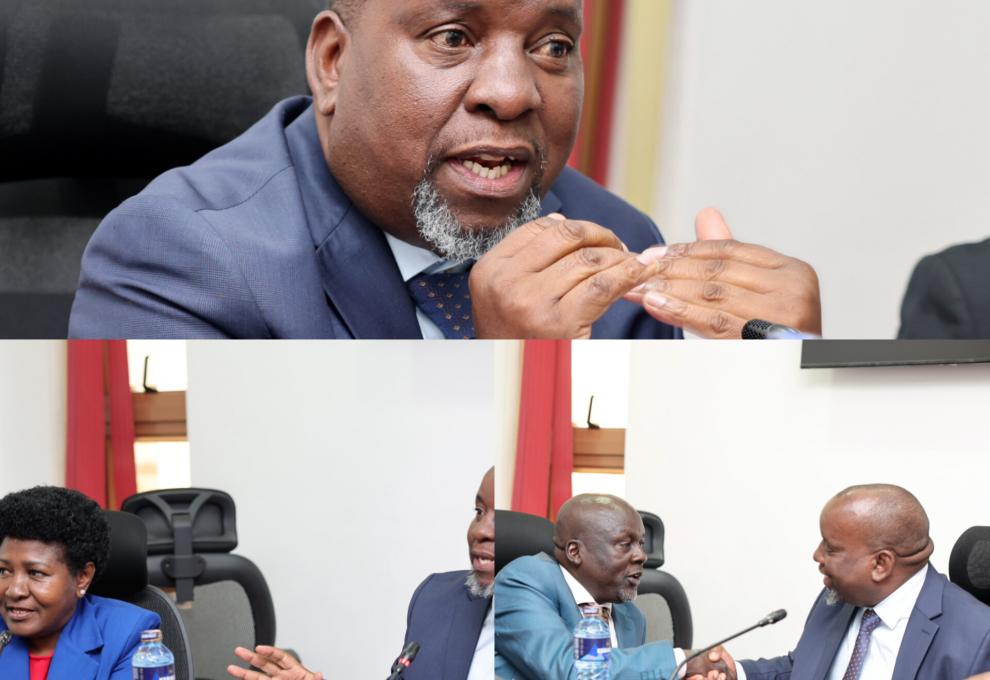 S𝐄𝐍𝐀𝐓𝐎𝐑 𝐌𝐖𝐀𝐑𝐔𝐌𝐀 𝐄𝐋𝐄𝐂𝐓𝐄𝐃 𝐂𝐇𝐀𝐈𝐑 𝐎𝐅 𝐂𝐎𝐔𝐍𝐓𝐘 𝐏𝐔𝐁𝐋𝐈𝐂 𝐈𝐍𝐕𝐄𝐒𝐓𝐌𝐄𝐍𝐓𝐒 𝐂𝐎𝐌𝐌𝐈𝐓𝐓𝐄𝐄   