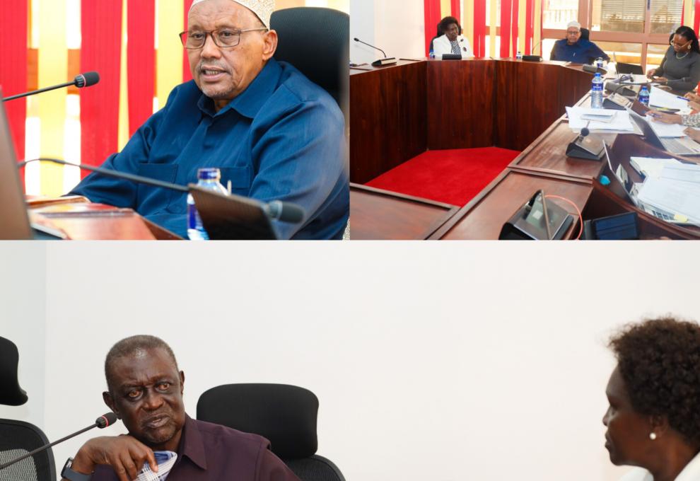 𝐒𝐄𝐍𝐀𝐓𝐄 𝐂𝐎𝐌𝐌𝐈𝐓𝐓𝐄𝐄 𝐒𝐄𝐓𝐒 𝐒𝐓𝐀𝐆𝐄 𝐅𝐎𝐑 𝐁𝐎𝐋𝐃 𝐑𝐄𝐅𝐎𝐑𝐌𝐒 𝐈𝐍 𝐂𝐎𝐔𝐍𝐓𝐘 𝐆𝐎𝐕𝐄𝐑𝐍𝐀𝐍𝐂𝐄   