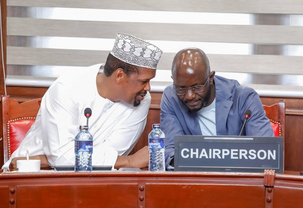 MEDIATION COMMITTEE CO-CHAIRS