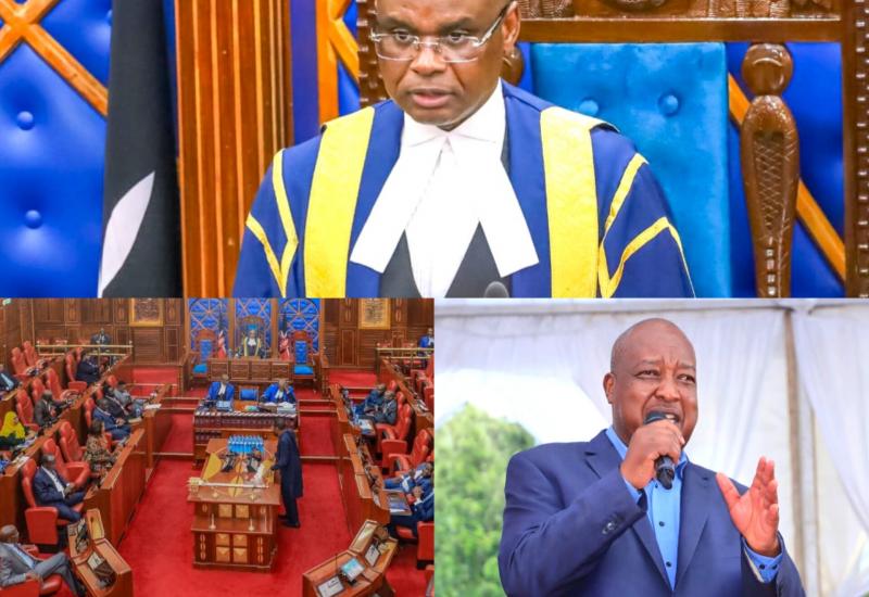 𝐒𝐄𝐍𝐀𝐓𝐄 𝐒𝐄𝐓 𝐅𝐎𝐑 𝐍𝐘𝐀𝐌𝐈𝐑𝐀 𝐆𝐎𝐕𝐄𝐑𝐍𝐎𝐑 𝐀𝐌𝐎𝐒 𝐍𝐘𝐀𝐑𝐈𝐁𝐎`𝐒 𝐓𝐑𝐈𝐀𝐋   