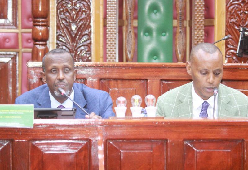 Defence Committee Chair, Hon. Nelson Koech and Vice Chair, Hon. Bashir Abdullahi