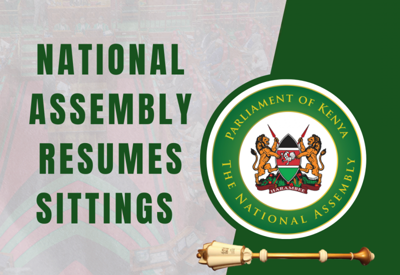 National Assembly Sitting 