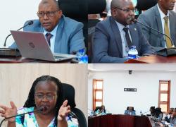 𝐒𝐄𝐍𝐀𝐓𝐄 𝐒𝐂𝐑𝐔𝐓𝐈𝐍𝐈𝐙𝐄𝐒 𝐊𝐞𝐑𝐑𝐀’𝐒 𝐑𝐎𝐋𝐄 𝐈𝐍 𝐃𝐄𝐕𝐎𝐋𝐕𝐄𝐃 𝐅𝐔𝐍𝐂𝐓𝐈𝐎𝐍𝐒   