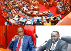 𝐌𝐀𝐉𝐎𝐑𝐈𝐓𝐘 𝐏𝐀𝐑𝐓𝐘 𝐂𝐇𝐀𝐍𝐆𝐄𝐒 𝐒𝐄𝐍𝐀𝐓𝐄 𝐌𝐀𝐉𝐎𝐑𝐈𝐓𝐘 𝐖𝐇𝐈𝐏   