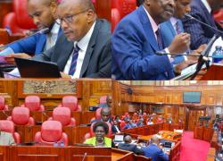 𝐒𝐄𝐍𝐀𝐓𝐎𝐑S 𝐐𝐔𝐄𝐒𝐓𝐈𝐎𝐍𝐒 𝐓𝐇𝐄 𝐅𝐑𝐀𝐌𝐄𝐖𝐎𝐑𝐊 𝐅𝐎𝐑 𝐂𝐎𝐎𝐏𝐄𝐑𝐀𝐓𝐈𝐎𝐍 𝐁𝐄𝐓𝐖𝐄𝐄𝐍 𝐍𝐀𝐓𝐈𝐎𝐍𝐀𝐋 𝐀𝐍𝐃 𝐍𝐀𝐈𝐑𝐎𝐁𝐈 𝐂𝐎𝐔𝐍𝐓𝐘 𝐆𝐎𝐕𝐄𝐑𝐍𝐌𝐄𝐍𝐓𝐒  