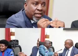 S𝐄𝐍𝐀𝐓𝐎𝐑 𝐌𝐖𝐀𝐑𝐔𝐌𝐀 𝐄𝐋𝐄𝐂𝐓𝐄𝐃 𝐂𝐇𝐀𝐈𝐑 𝐎𝐅 𝐂𝐎𝐔𝐍𝐓𝐘 𝐏𝐔𝐁𝐋𝐈𝐂 𝐈𝐍𝐕𝐄𝐒𝐓𝐌𝐄𝐍𝐓𝐒 𝐂𝐎𝐌𝐌𝐈𝐓𝐓𝐄𝐄   
